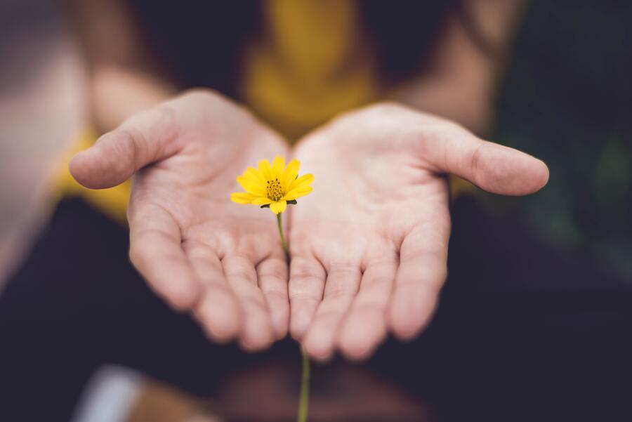 main tenant une fleur